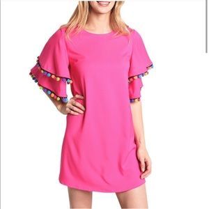 NWOT Loveriche pink Pom Pom trim dress